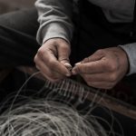 Navigating Your Career as a Fisheries Officer: Essential Roadmaps for Success