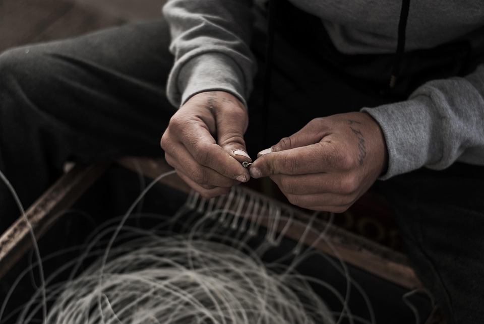 Navigating Your Career as a Fisheries Officer: Essential Roadmaps for Success
