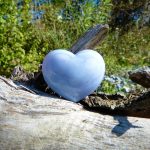 Essential Interview Guide for Aspiring Environmental Health Officers: Tips and Insights