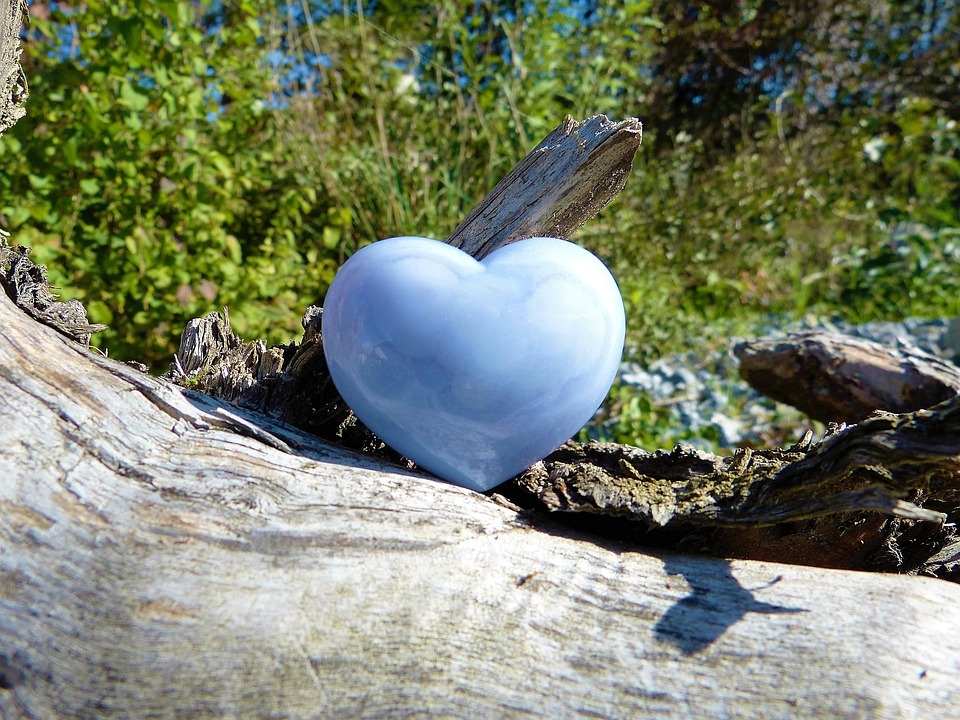 Essential Interview Guide for Aspiring Environmental Health Officers: Tips and Insights