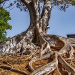 Essential Estate Manager Resume Template: Land Your Dream Job in Property Management