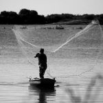 Essential Fisheries Officer CV Template: Stand Out in the Aquatic Job Market