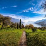 Navigating Your Career Path: A Comprehensive Guide to Becoming an Estate Manager in the UK