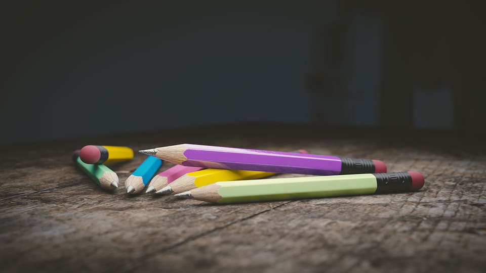 Essential Interview Guide for Aspiring Environmental Education Officers: Tips and Strategies