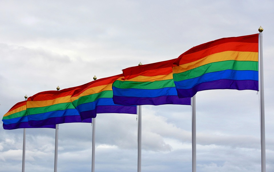 Essential Interview Guide for Equality and Diversity Officer Roles: Tips and Best Practices
