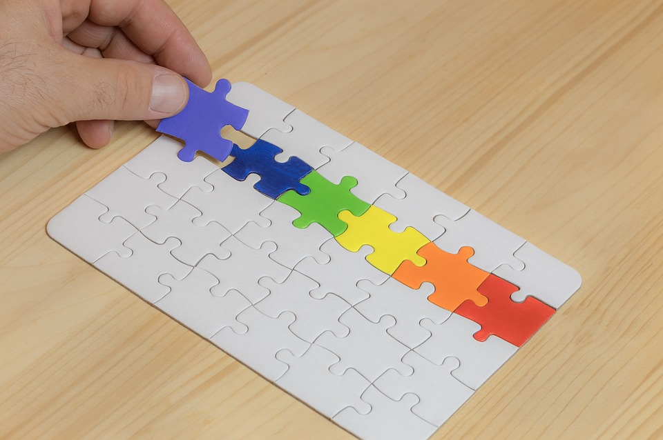 Navigating Your Career Path as a Diversity and Inclusion Officer: Essential Roadmaps for Success