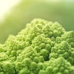 Exploring Career Roadmaps for Food Scientists: Your Guide to Success in the Food Industry