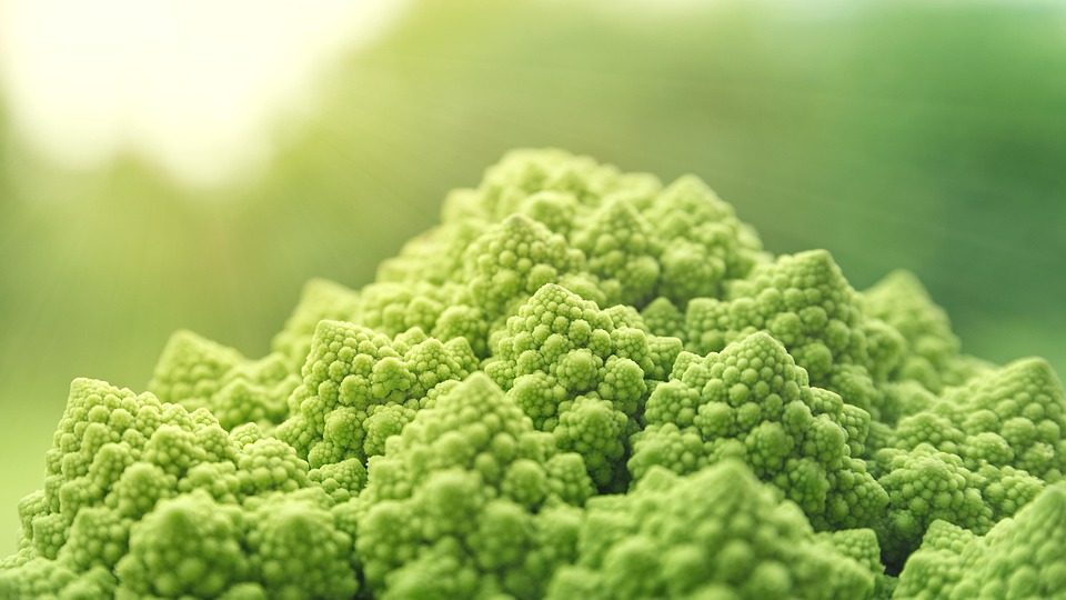 Exploring Career Roadmaps for Food Scientists: Your Guide to Success in the Food Industry