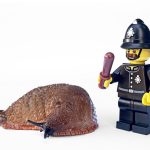 How to Write an Impressive Cover Letter for Detective Constable Positions: Essential Tips and Examples