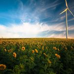 Navigating Your Career Path as an Energy Consultant: Essential Roadmaps for Success