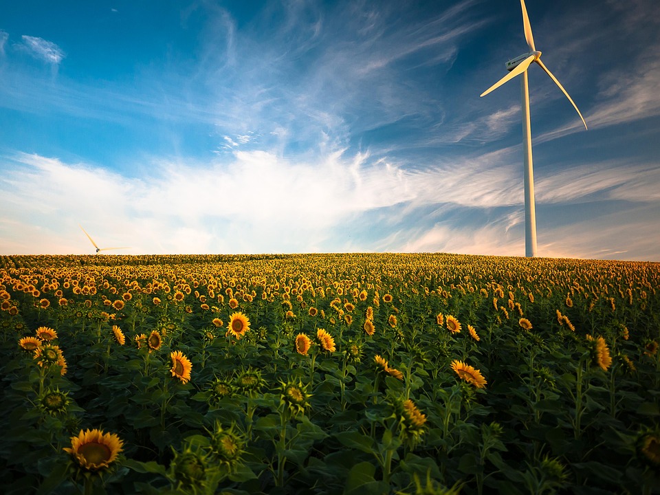 Navigating Your Career Path as an Energy Consultant: Essential Roadmaps for Success
