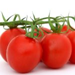 Crafting an Impressive Cover Letter for Food Scientist Positions: Essential Tips and Examples