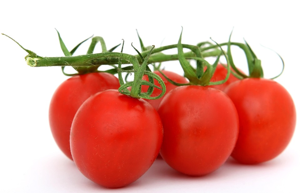 Crafting an Impressive Cover Letter for Food Scientist Positions: Essential Tips and Examples